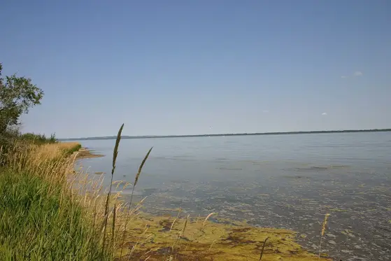 Near the boat launch at Aspen Beach on Gull Lake.